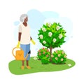 Older people working in the garden Royalty Free Stock Photo