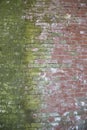 Older red brick wall with contrasting green moss Royalty Free Stock Photo