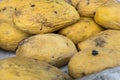 Older stock of overripe native Carabao Mangoes, also known as Philippine mango, sold at a local market for a discounted price