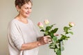 Older woman arranging roses Royalty Free Stock Photo