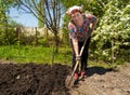 An older woman digging garden Royalty Free Stock Photo