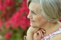 Older woman with flowers Royalty Free Stock Photo