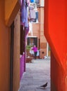 Older woman hanging washing to dry in a brightly colored courtyard in burano venice