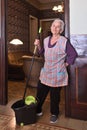 Older woman with mop making the floor of her house Royalty Free Stock Photo