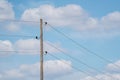 Older wooden overhead power transmission line across the landscape Royalty Free Stock Photo