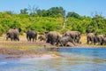 The oldest national park in Botswana Royalty Free Stock Photo