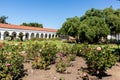 Oldest Pepper Tree in California at Mission San Luis Rey Royalty Free Stock Photo