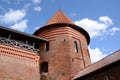 The oldest stone castle in Lithuania - Kaunas Castle Royalty Free Stock Photo