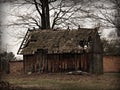 Old bark / cover - cane