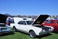 Magnificent Oldsmobile 442 At Dr. George Car Show