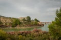 Oleanders in bloom in the Embalse del Mayes in Murcia. Spain Royalty Free Stock Photo