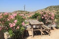 Oleanders and Houses, Aegean villages Royalty Free Stock Photo