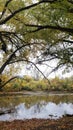 Olentangy River in Autumn, Columbus, Ohio Royalty Free Stock Photo