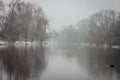 Olentangy River Winter Storm Royalty Free Stock Photo