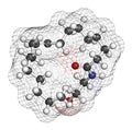 Oleoylethanolamide OEA endogenous peroxisome proliferator-activated receptor alpha PPAR-ÃÂ± agonist molecule. 3D rendering.. Royalty Free Stock Photo