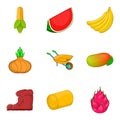 Olericulture icons set, cartoon style