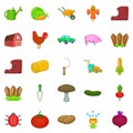 Olericulture icons set, cartoon style