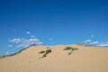 Oleshki sands - sand dune in desert, sand is al around and some greens and footprints. Hot summer weather, concept of travelling a Royalty Free Stock Photo