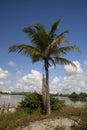 Oleta River State Park Royalty Free Stock Photo