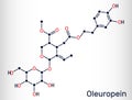 Oleuropein, catechol, glycoside molecule. It has role as plant metabolite, anti-inflammatory, antineoplastic, antihypertensive