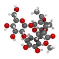 Oleuropein olive component molecule. In part responsible for pungency of virgin olive oil, may have beneficial properties. 3D.