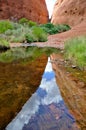 The Olgas, Australian desert Royalty Free Stock Photo