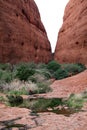 The Olgas - Kata Tjuta - Mount Olga [Docker River Road, Uluru-Kata Tjuta National Park, Northern Territory, Australia, Oceania]