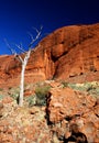 The Olgas, Northern Territory Royalty Free Stock Photo