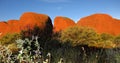 The Olgas, Northern Territory, Australia