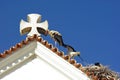 Closeup of a roof with storks nest at church Matriz de Nossa Senhora do Rosario Royalty Free Stock Photo