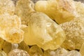 Olibanum, Boswellia serrata Royalty Free Stock Photo