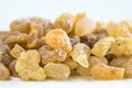 Olibanum, Boswellia serrata Royalty Free Stock Photo