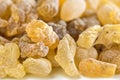 Olibanum, Boswellia serrata Royalty Free Stock Photo