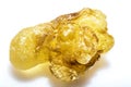 Olibanum, Boswellia serrata Royalty Free Stock Photo