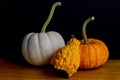 oliday setting two pumkins and gourd Royalty Free Stock Photo