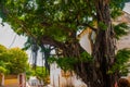 OLINDA, PERNAMBUCO, BRAZIL: Old beautiful Catholic Church in Olinda. Olinda is a colonial town on Brazil s northeast coast Royalty Free Stock Photo