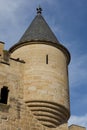 Olite castle Royalty Free Stock Photo