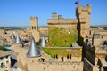 Olite Medieval Castle Navarra Spain