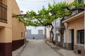 A vine plant shades a street between old houses in the town of Oliva of Plasencia