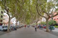 Oliva Spain town centre tree lined walkway with people going about their business