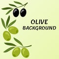 Olive background. Black and green branch olives. Vector Royalty Free Stock Photo