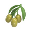 olive 3d icon illustration