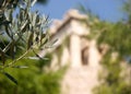 Olive branch and Acropolis in Athens in blurred background Royalty Free Stock Photo