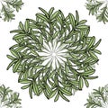 Olive branch big and small mandala seamless pattern. Vector illustration Royalty Free Stock Photo