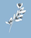 Olive branch on blue background