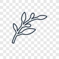 Olive Branch concept vector linear icon isolated on transparent