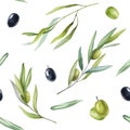 Olive Branch And Fruit Seamless Pattern. Hand Drawn Elegant Olive Branches In Watercolor Pattern On White Background