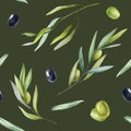 Olive Branch And Fruit Seamless Pattern. Hand Drawn Elegant Olive Branches In Watercolor Pattern On Dark Background