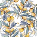 Olive branch with green fruit. Watercolor background illustration set. Seamless background pattern. Royalty Free Stock Photo