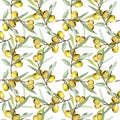 Olive branch with green fruit. Watercolor background illustration set. Seamless background pattern. Royalty Free Stock Photo